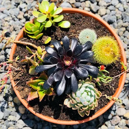 Casa Do Sal Πανσιόν