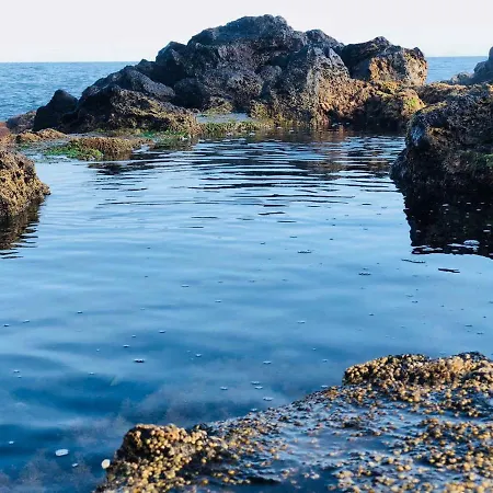 Πανσιόν Casa Do Sal 4*