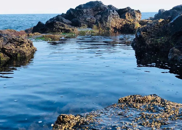 Guest house Casa Do Sal 4*